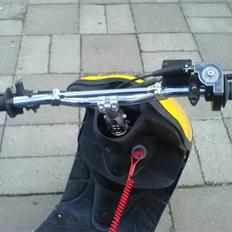 Siamoto siamoto birdie