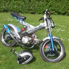 Sachs MadAss// SOLGT!