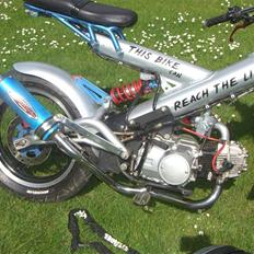 Sachs MadAss// SOLGT!