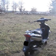 Baotian bt49qt-12 Rocky solt