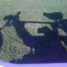 Puch Maxi K e50 \\ Solgt