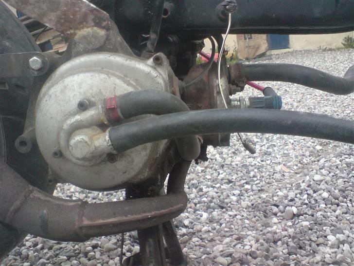 Suzuki FzRox Lc VÆK billede 3