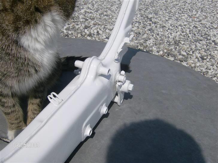 Suzuki Fz 50/Danskeren .:Solgt:. billede 7