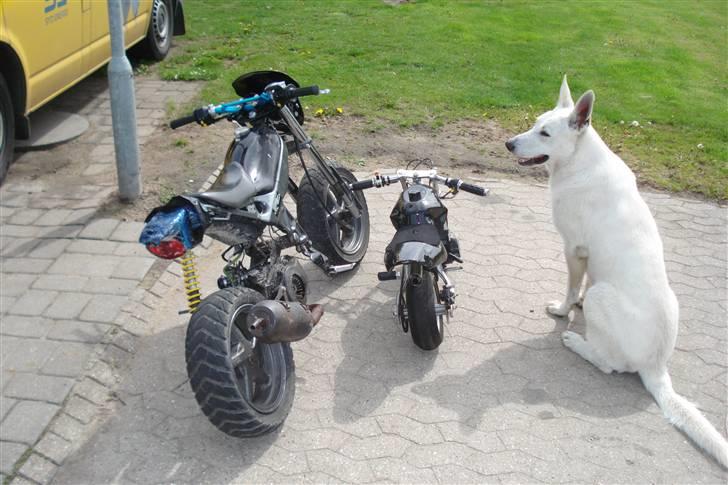 Suzuki ssm BYTTET TIL DERBI  billede 5