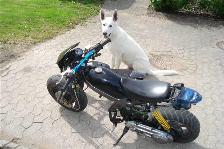 Suzuki ssm BYTTET TIL DERBI  billede 6
