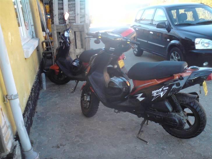 PGO std,/ ny billede 3