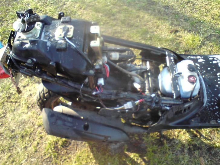 PGO std,/ ny - intet rust. billede 6