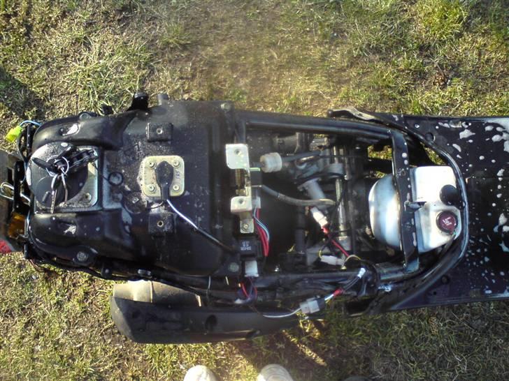 PGO std,/ ny billede 7