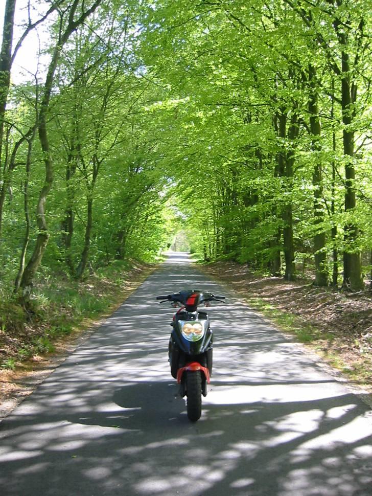 PGO Hot 50 Tilsalg billede 9