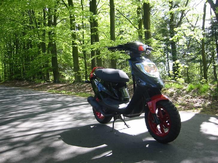 PGO Hot 50 Tilsalg billede 10