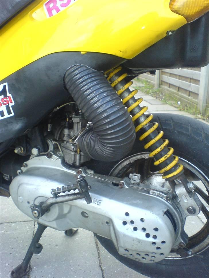 Siamoto siamoto birdie billede 1