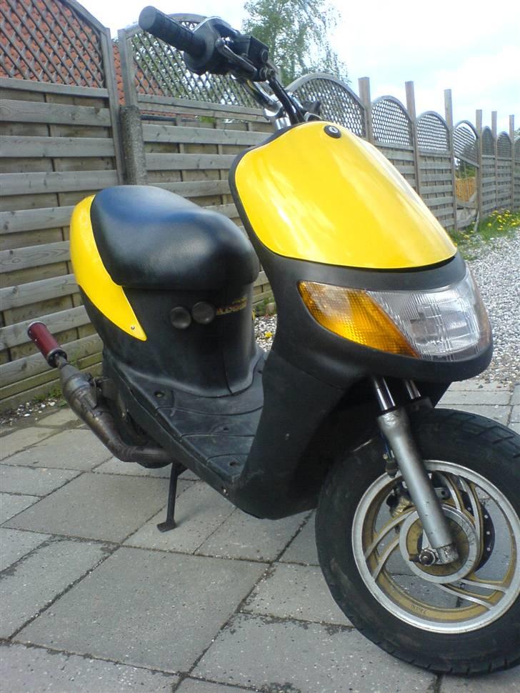 Siamoto siamoto birdie billede 2