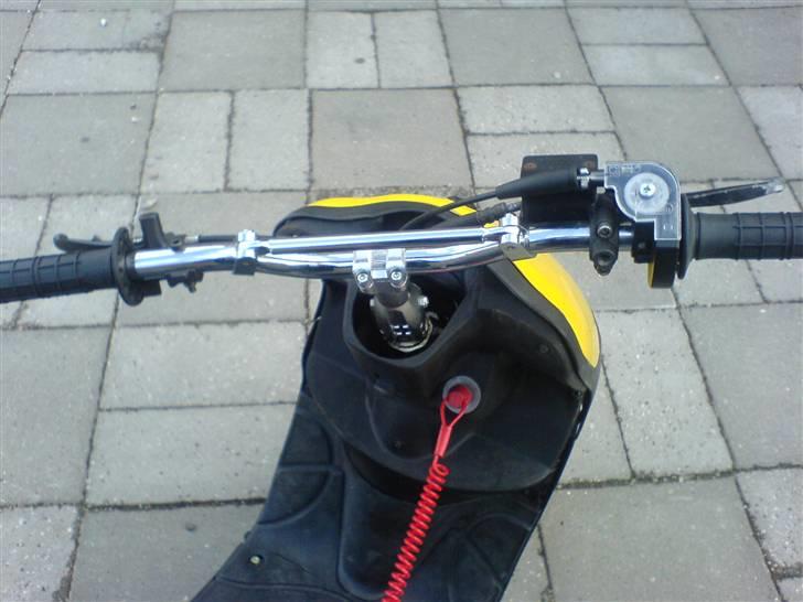 Siamoto siamoto birdie billede 3