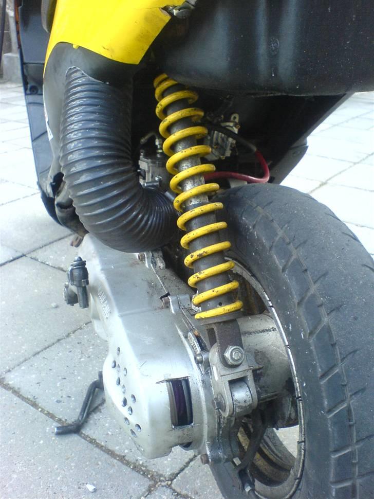 Siamoto siamoto birdie billede 4