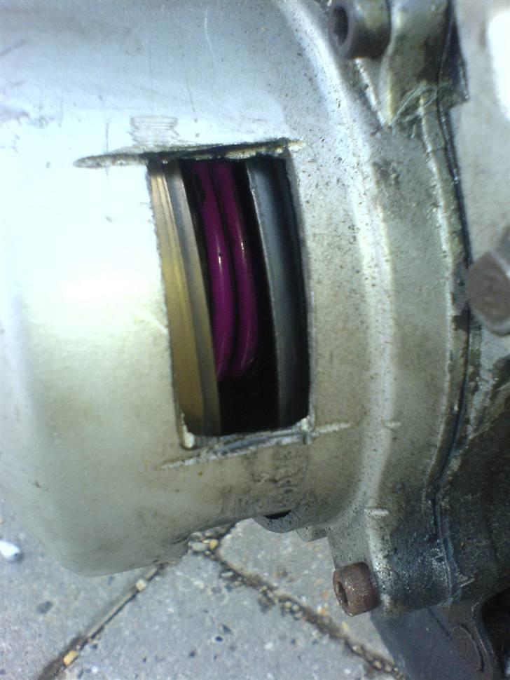 Siamoto siamoto birdie billede 5