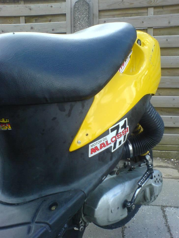 Siamoto siamoto birdie billede 6