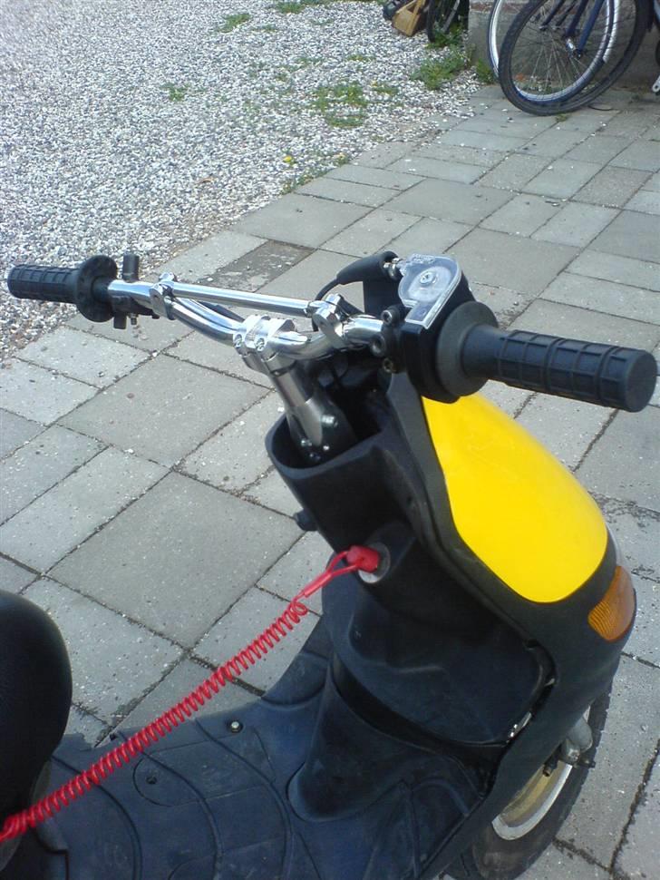 Siamoto siamoto birdie billede 7