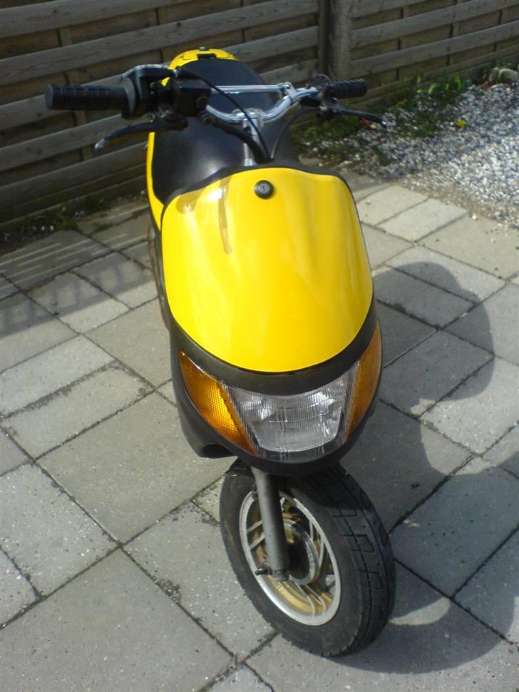 Siamoto siamoto birdie billede 8