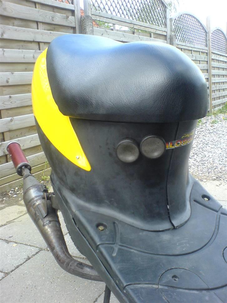 Siamoto siamoto birdie billede 10