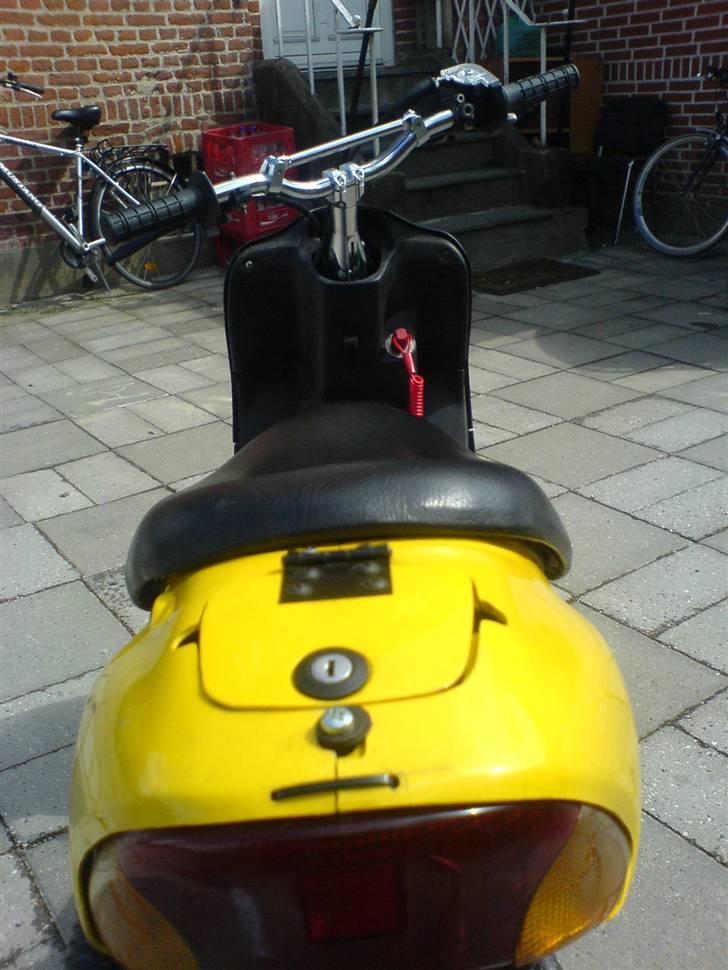 Siamoto siamoto birdie billede 11