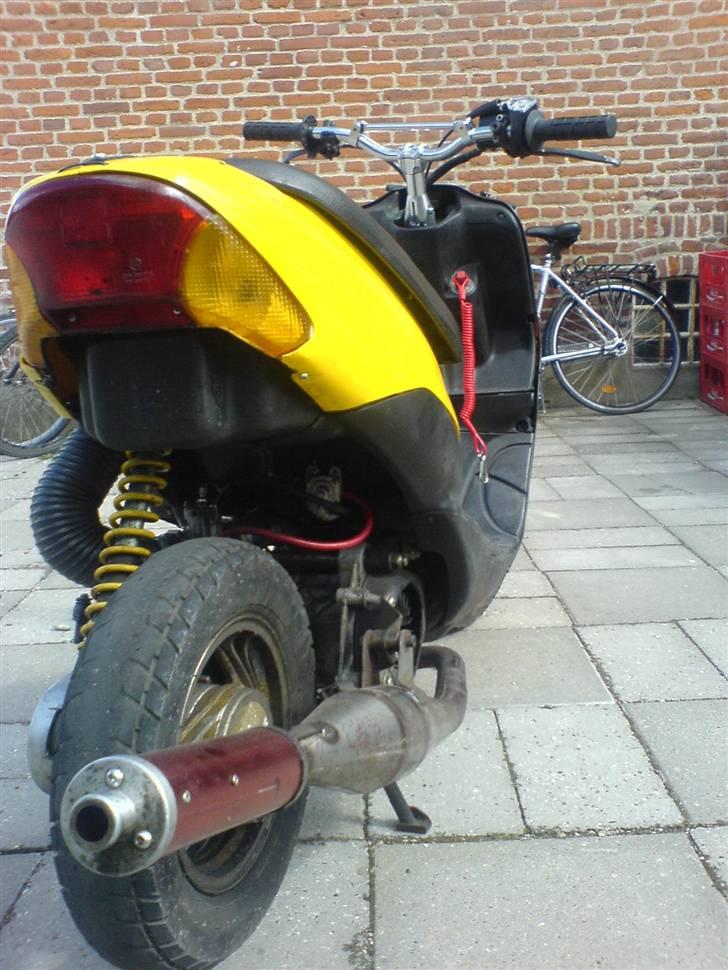 Siamoto siamoto birdie billede 12