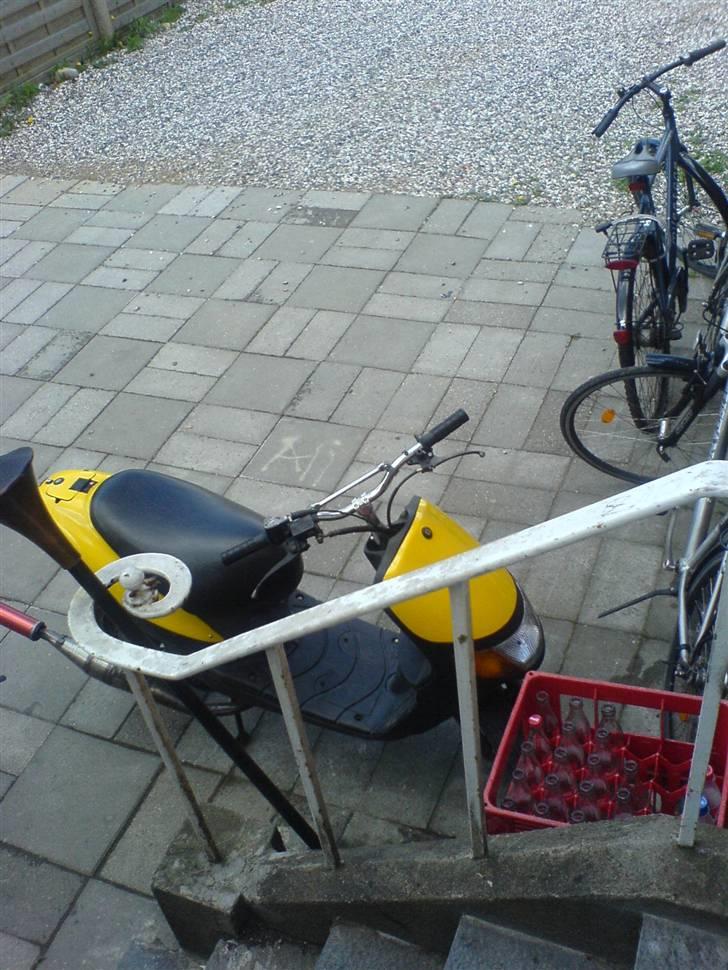 Siamoto siamoto birdie billede 13