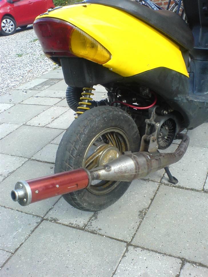 Siamoto siamoto birdie billede 14