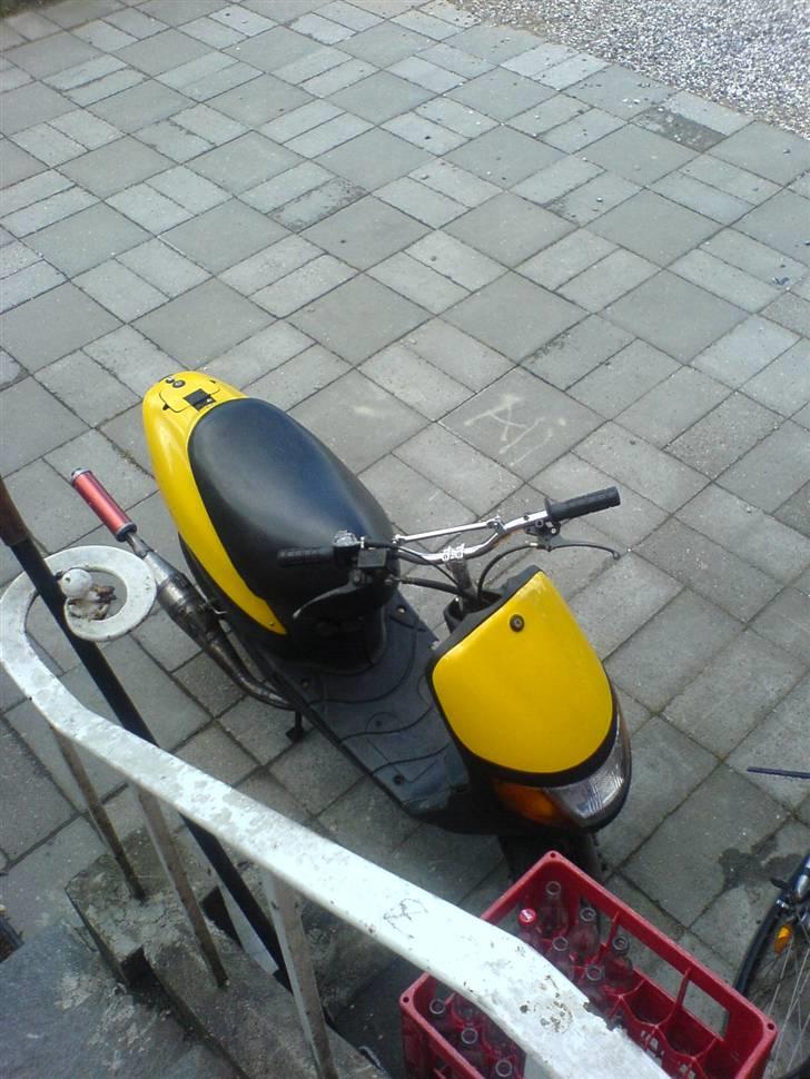 Siamoto siamoto birdie billede 15