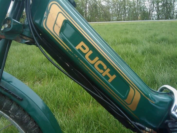 Puch Maxi P ~BYTTET~ billede 6