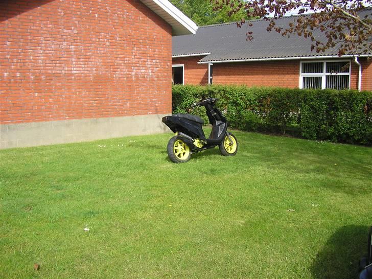 PGO (hot) / Big max..solgt billede 15