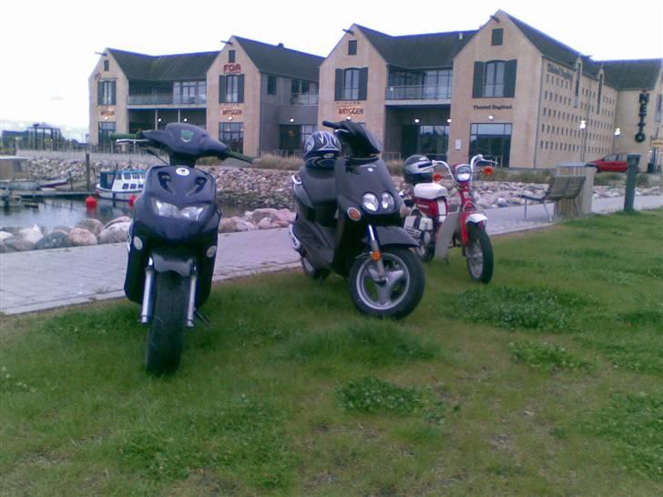 Suzuki Fz50 ($olgt) billede 12