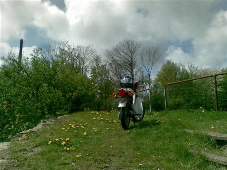 Suzuki Fz50 ($olgt) billede 14