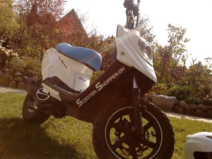 PGO Hot 50 - solgt  billede 6