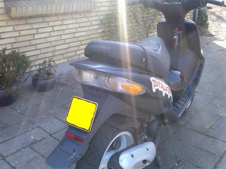 Gilera Stalker billede 4