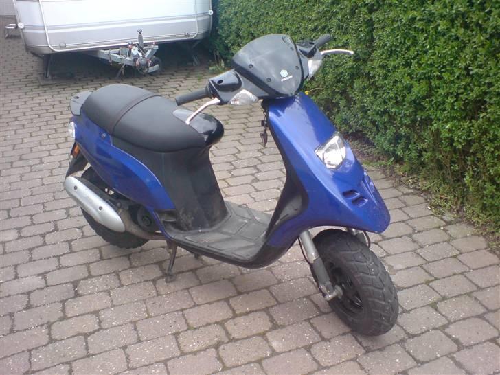 Piaggio typhoon(solgt) billede 7