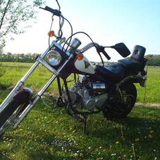 Kinroad regal raptor (væk)