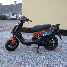 PGO Hot 50