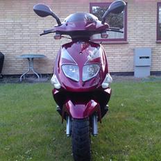 PGO T-REX  SOLGT !!!