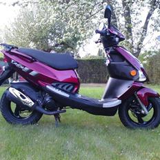 PGO T-REX  SOLGT !!!