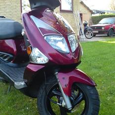 PGO T-REX  SOLGT !!!