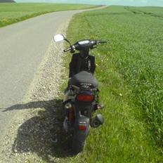 PGO hot 50    snottie :i <3