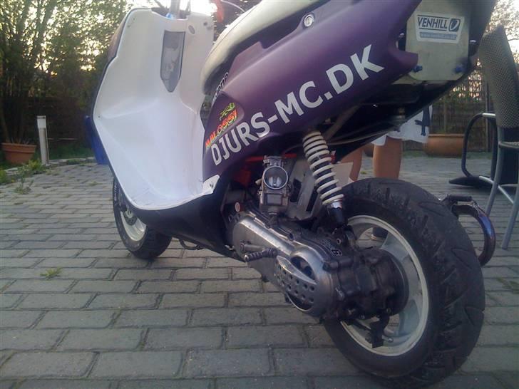 Honda SFX - Byttet billede 5