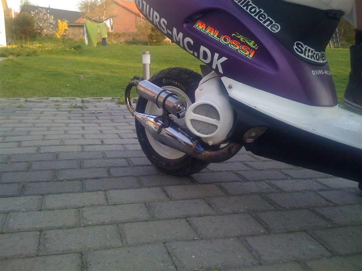 Honda SFX - Byttet billede 7