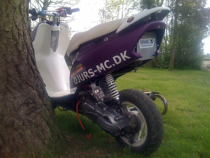 Honda SFX - Byttet billede 11