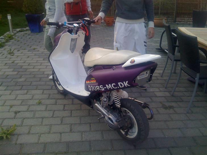 Honda SFX - Byttet billede 13