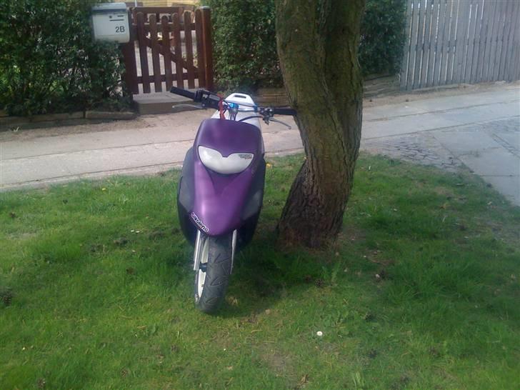 Honda SFX - Byttet billede 14