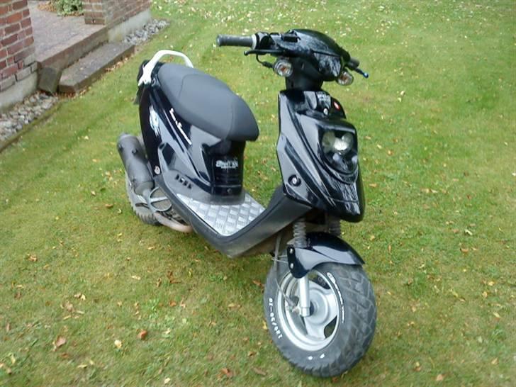 PGO hot 50 > BLACK LADY < - hotten.......  D. 4 - 10 - 10 med home made nr. plade holder billede 1