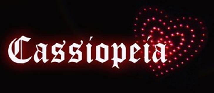 Suzuki RMX Under ombygning billede 16