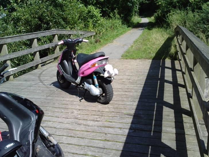 Gilera stalker   før  billede 5