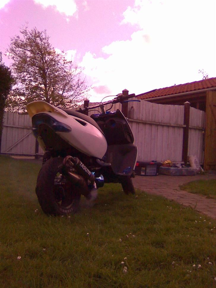 Aprilia sonic evo ac Byttet billede 11